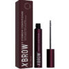Xlash - Xbrow Ögonbrynserum