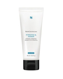 Skinceuticals_Hydrating B5 Masque