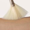 Jane Iredale Blush/White Fan - Bild 2